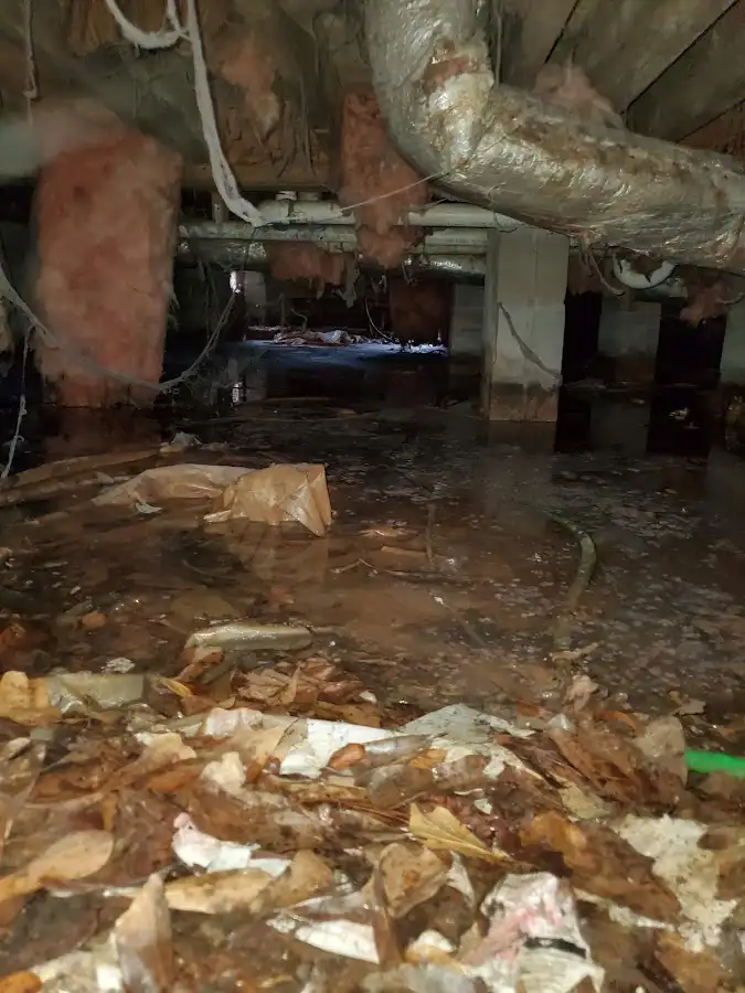 Crawl space flood assessment for Commercial Water Damage Restoration in Epping